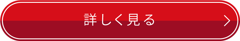 詳しく見る